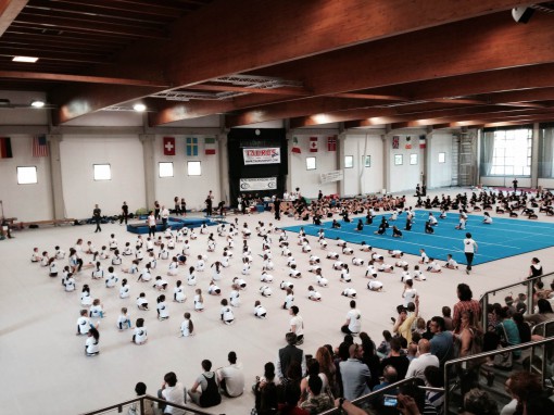 gal -saggio ghislanzoni (7)