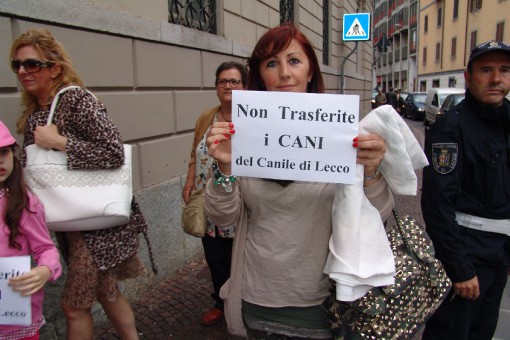protesta canile in comune (2)