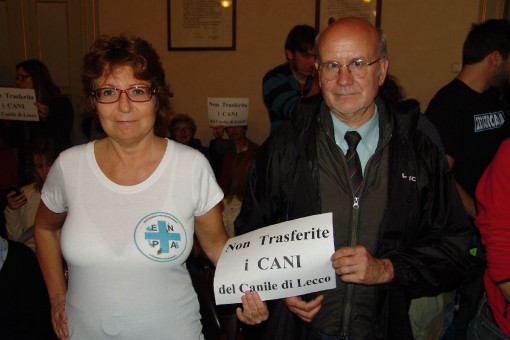 protesta canile in comune (5)