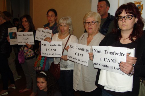 protesta canile in comune (6)