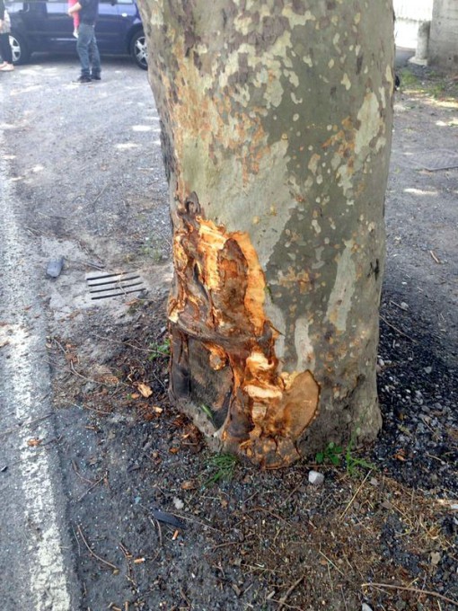 viale valsugana incidente (1)