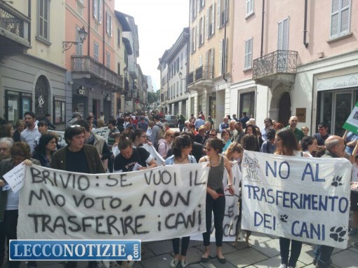 Lecco protesta chiusura canile giugno 2014 (10)