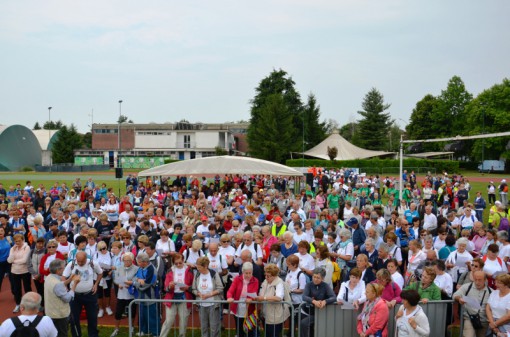 gruppi cammino paderno 2014 (3)