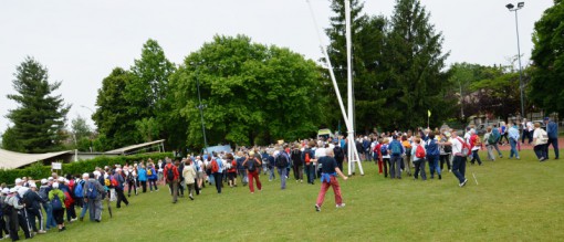 gruppi cammino paderno 2014 (4)