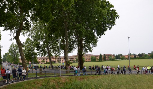 gruppi cammino paderno 2014 (5)