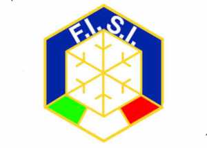 logo_fisi