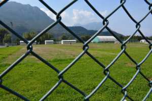 Bione danni - frisbee (2)