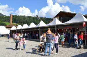 Sagra-delle-Sagre_Barzio_2014 (5)