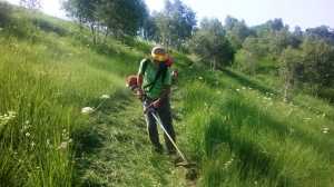 Volontari all'opera per la pulizia dei sentieri