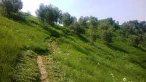 Pulizia dei sentieri effettuata in vetta al Magnodeno