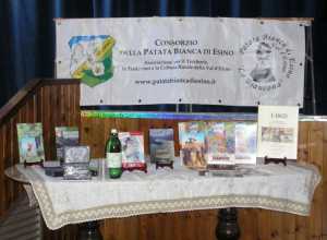 Lasco_serate_Esino-Lario_2014 (2)