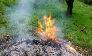 Falò_fuoco_sfalcio_Mandello_2014