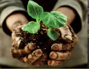 Camera di Commercio_seminario uomo cibo ambiente