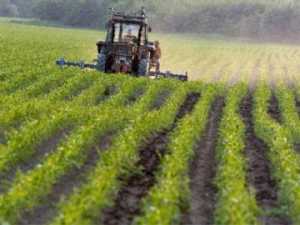 terreno-agricolo-coltivato_small