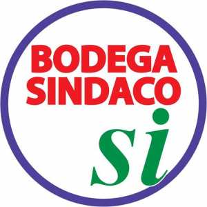 BODEGA (2)