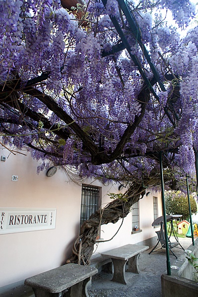 ristorante_molteno (1)