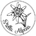 stella alpina esino