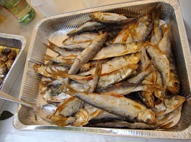 agoni_missoltini_Lierna