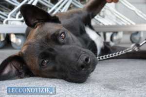 emanuela - senzatetto (2)