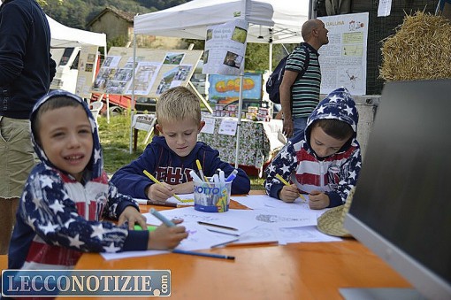 Pasturo_Bestiame_2015 (1)