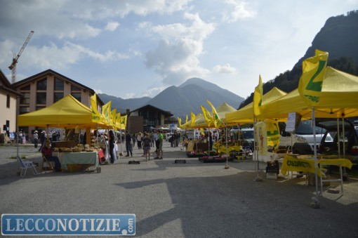 Pasturo_Bestiame_2015 (28)