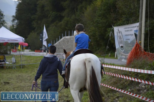 Pasturo_Bestiame_2015 (36)