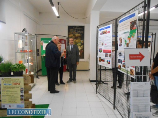 Vercur EXPO_ vercurago (1)