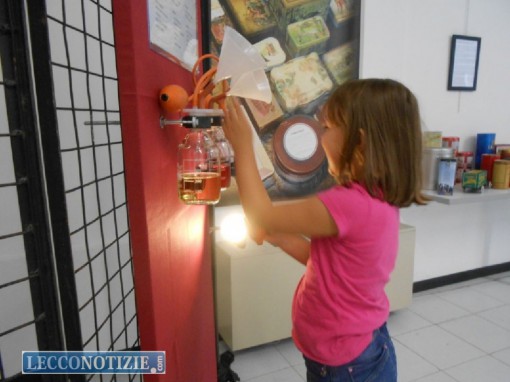 Vercur EXPO_ vercurago (11)