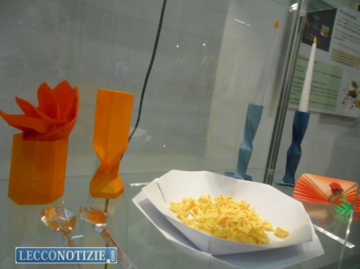 Origami realizzati dai membri del "centro diffusione origami", direttamente dalla mostra tenutasi a Bologna del marzo scorso