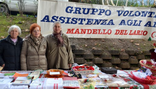 Gruppo-volontari-assistenza-anziani_Mandello