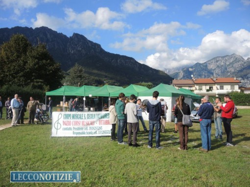 Valmadrera_castagnata Via Casnedi_ott2015 (1)