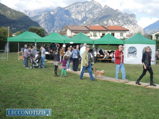 Valmadrera_castagnata Via Casnedi_ott2015 (5)