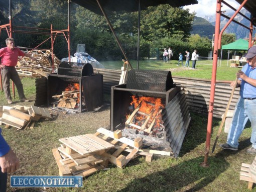 Valmadrera_castagnata Via Casnedi_ott2015 (9)