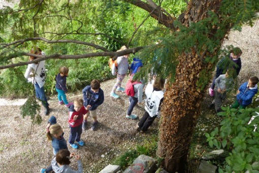 WWF BIRD WACHING (8)