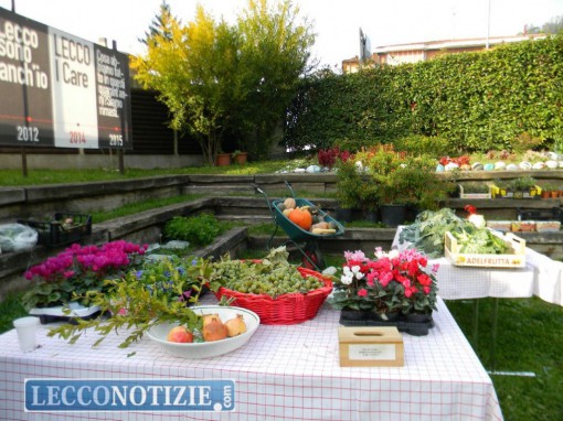 I prodotti dell'orto curato dagli adolescenti della Casa sul Pozzo