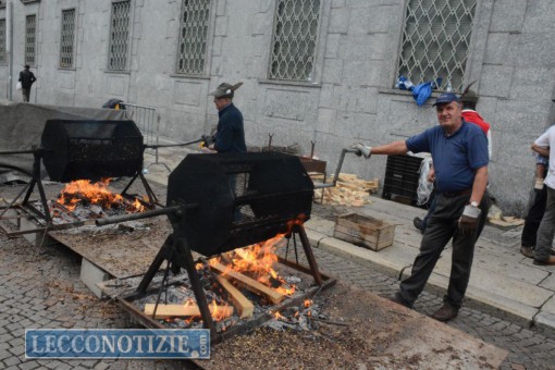 festa nonni lecco 2014 - alpini bonacina (4)