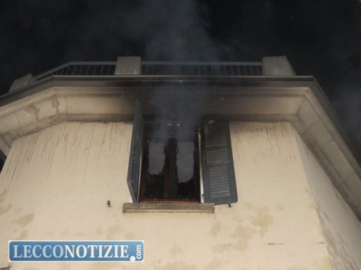 introbio_incendio (12)