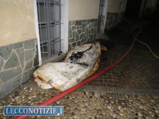 introbio_incendio (14)