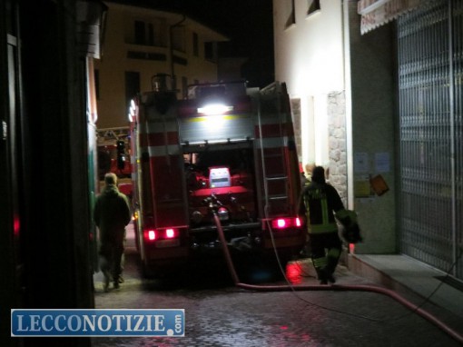 introbio_incendio (16)