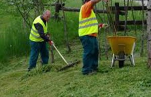 lavori giardino sociali utili