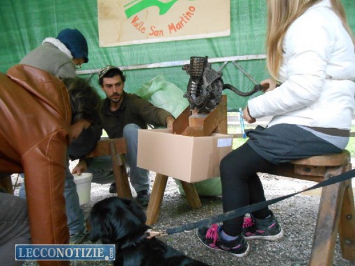 Attività per i bambini all'interno dello stand dedicato al Mais Scagliolo