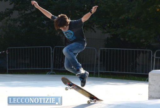 skate - Shapeabbestia 2015 (1)