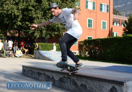 skate - Shapeabbestia 2015 (11)