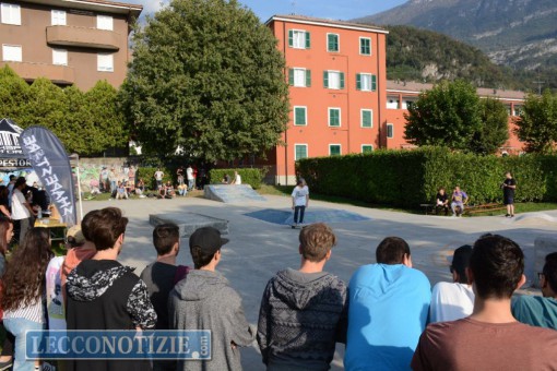 skate - Shapeabbestia 2015 (14)