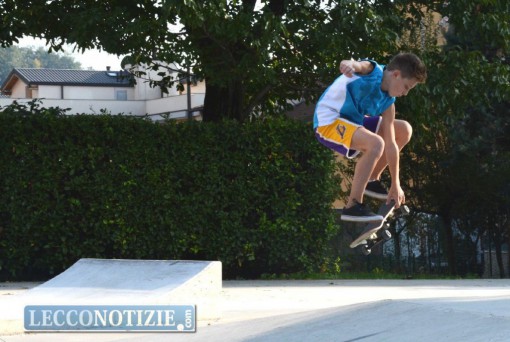 skate - Shapeabbestia 2015 (7)
