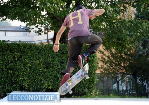 skate - Shapeabbestia 2015 (8)