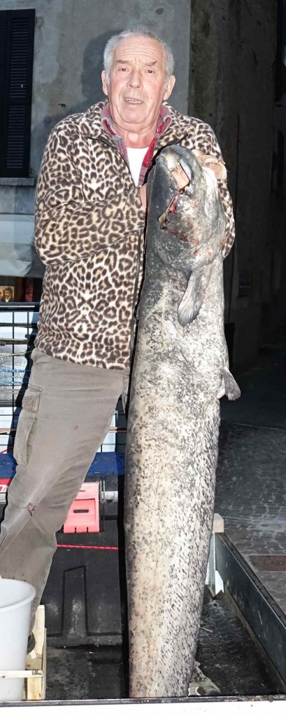 Ercole Stucchi e il pesce siluro da lui catturato.
