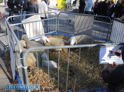 Lecco_festa Coldiretti_nov2015 (7)