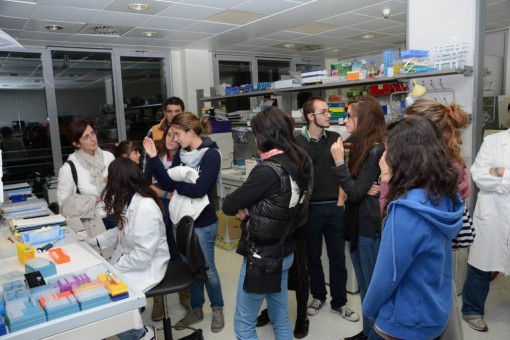 notte_ricerca_2013_light