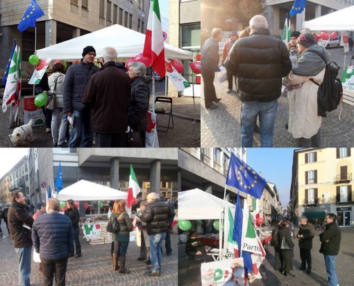 11222467_10204051248121293_3685413877735368015_n